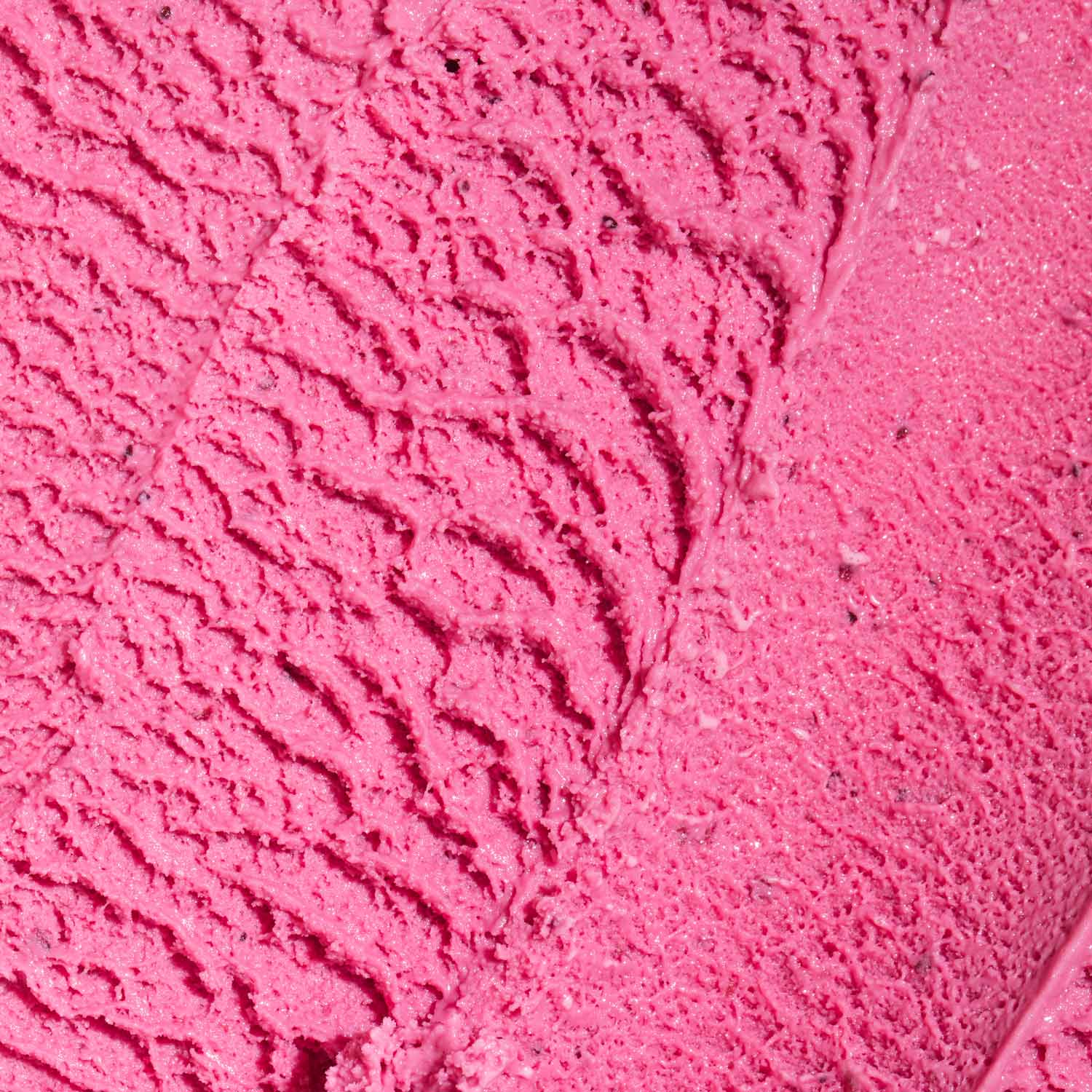 Alternative view of Nebula Berry